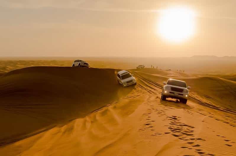 Dubai Modern Marvels & Desert Safari - travel experience